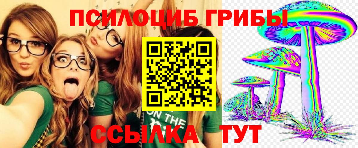 Ступино  Галлюциногенные грибы прущие грибы  Вход с VPN 