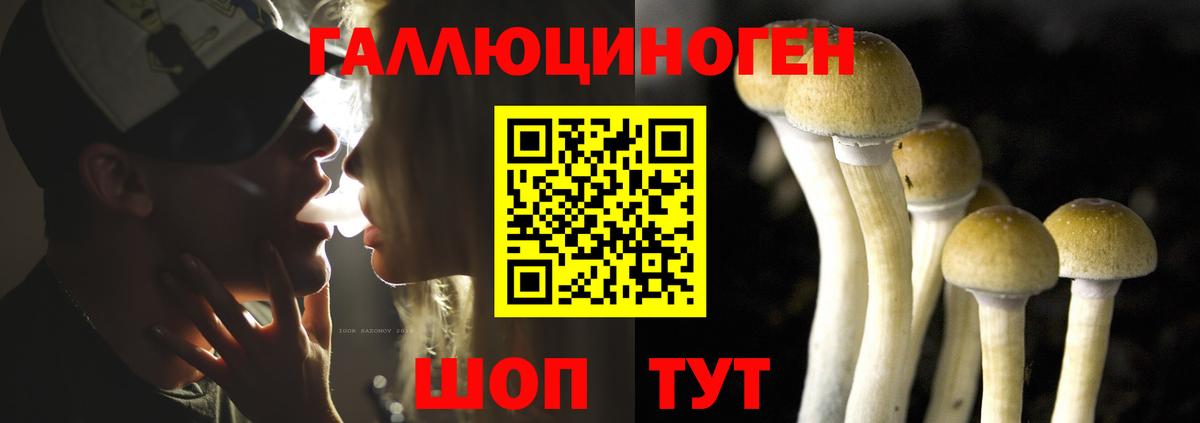 Галлюциногенные грибы прущие грибы Ступино